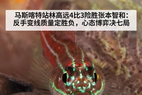 马斯喀特站林高远4比3险胜张本智和：反手变线质量定胜负，心态博弈决七局