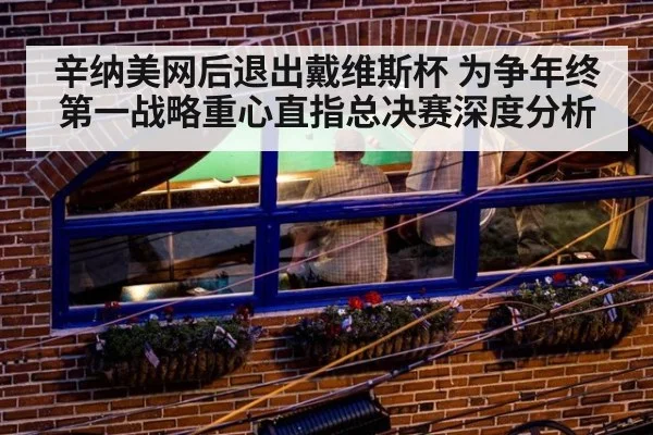 辛纳美网后退出戴维斯杯 为争年终第一战略重心直指总决赛深度分析
